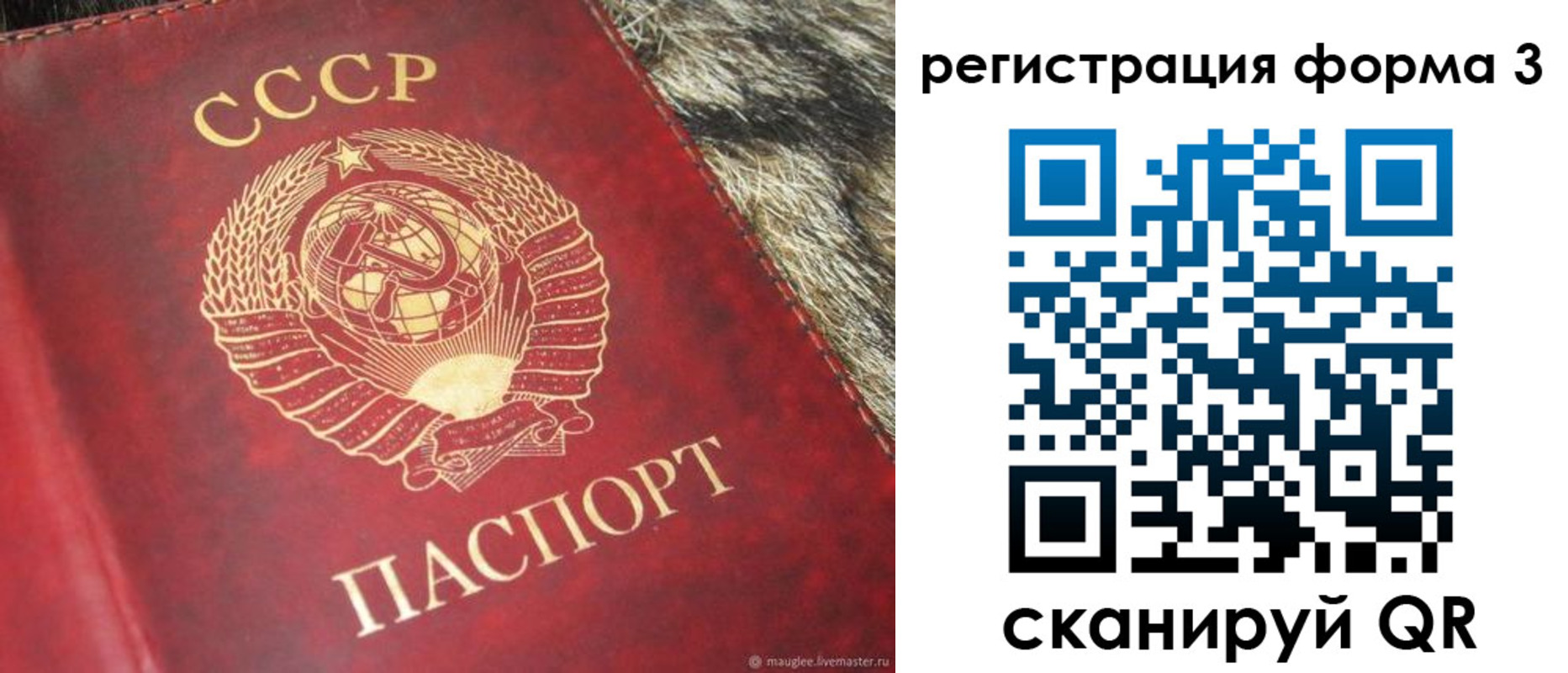 прописка регистрация в Плавске